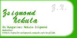 zsigmond nekula business card